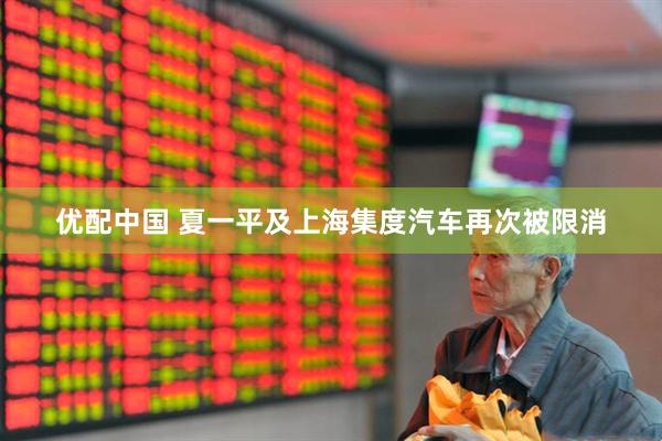 优配中国 夏一平及上海集度汽车再次被限消